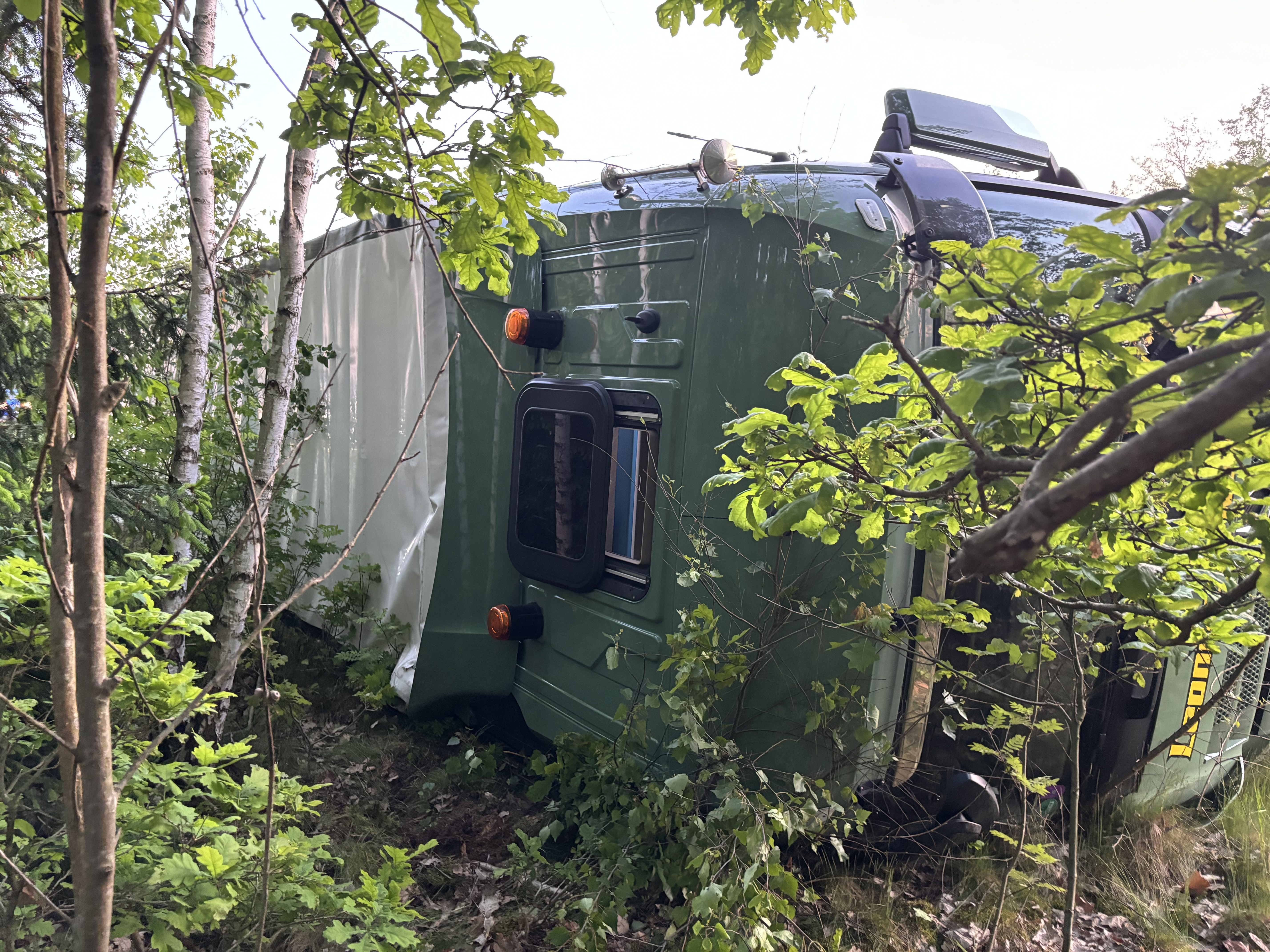 24-05-13 05-44-11 7535.jpg